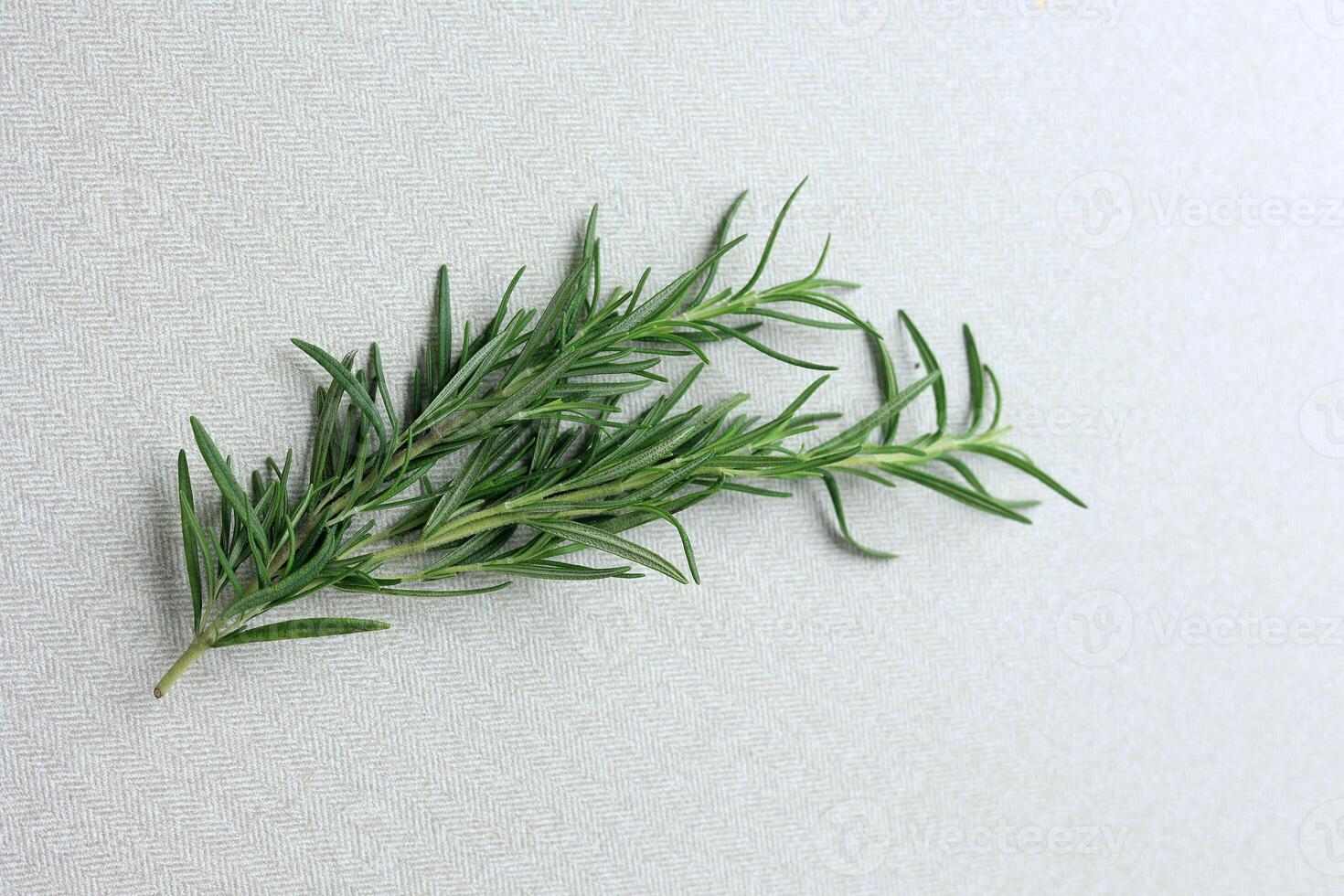 Fresh Rosemary on the Table photo