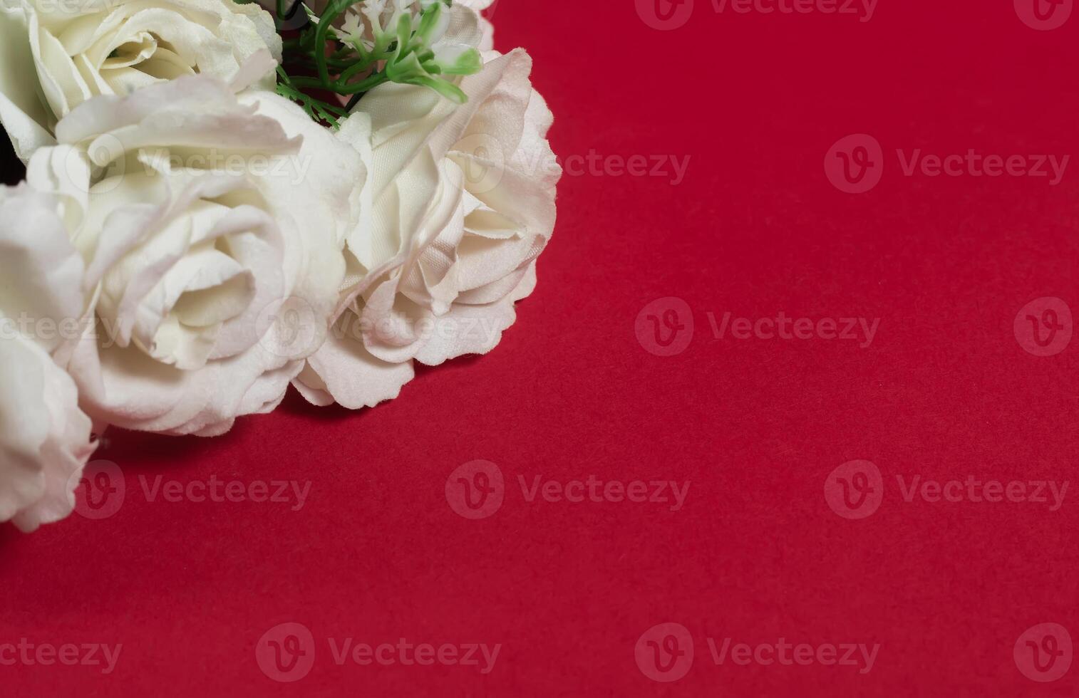 Bouquet of white roses on a red background with copy space photo