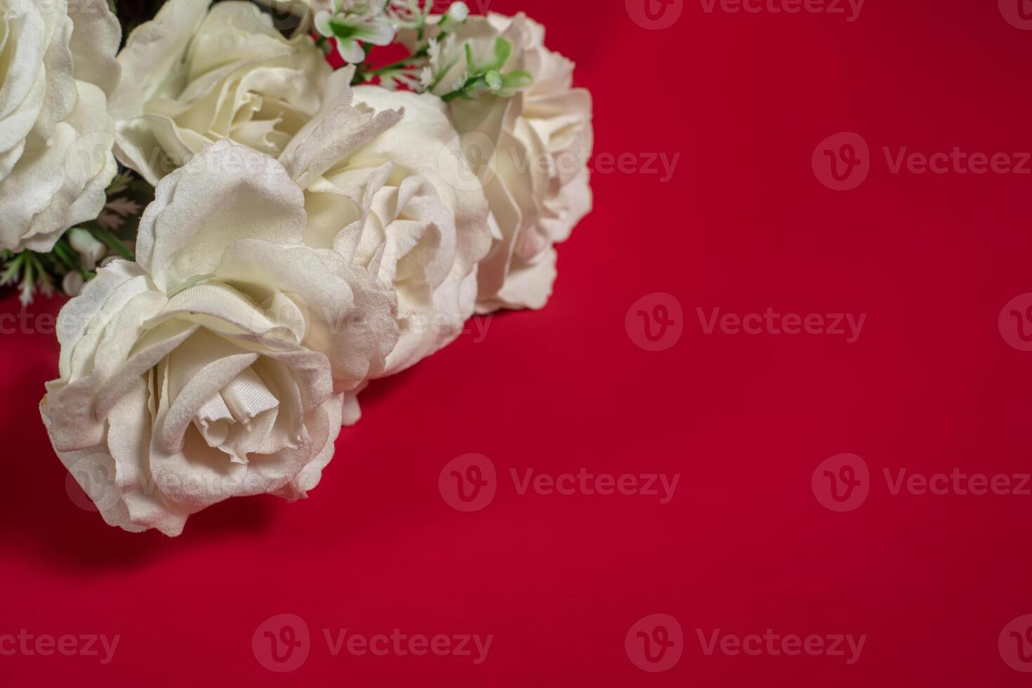Bouquet of white roses on a red background with copy space for your text. photo