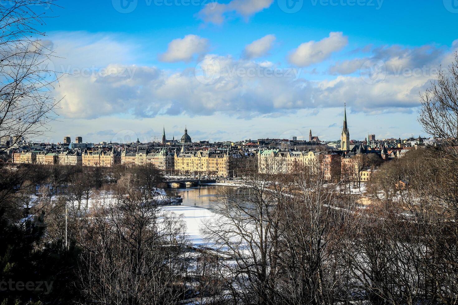 aéreo ver de Estocolmo paisaje urbano desde un colina foto