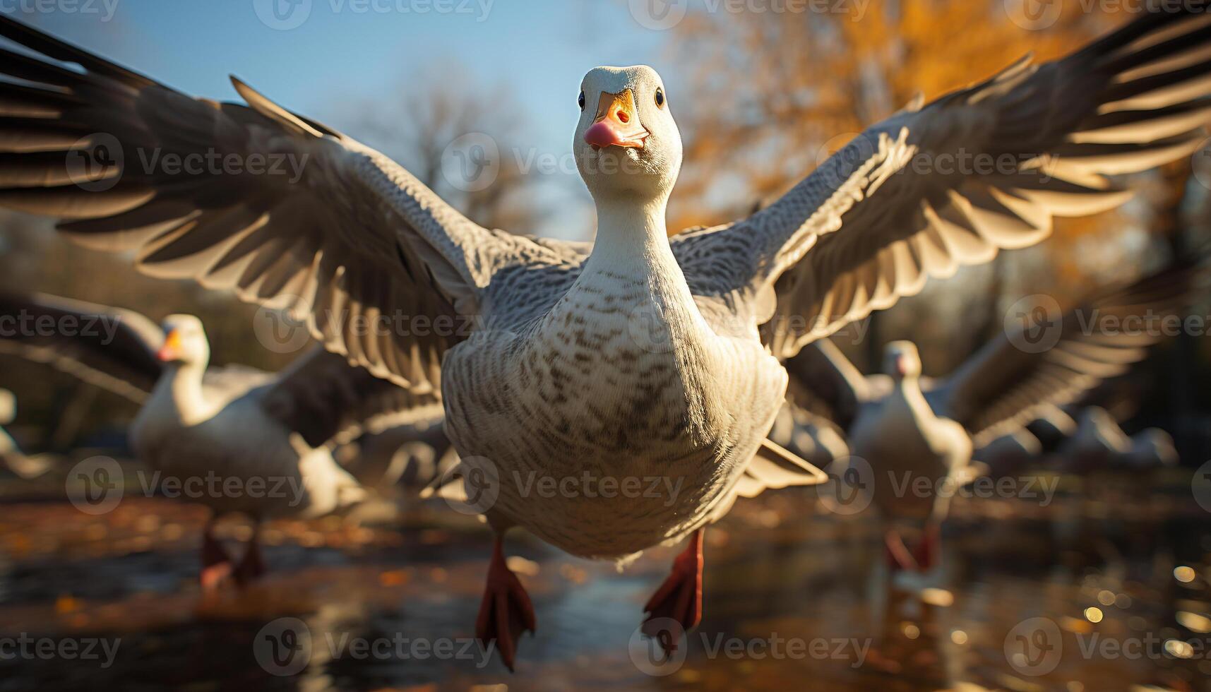AI generated A beautiful summer day, a close up of a yellow duck generated by AI photo