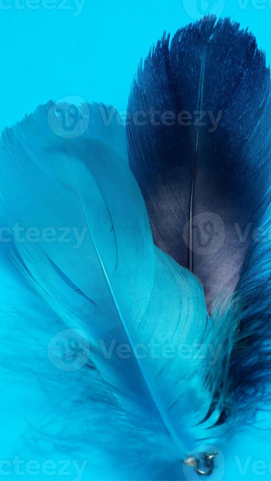 Blue texture background line simple - 77 photo