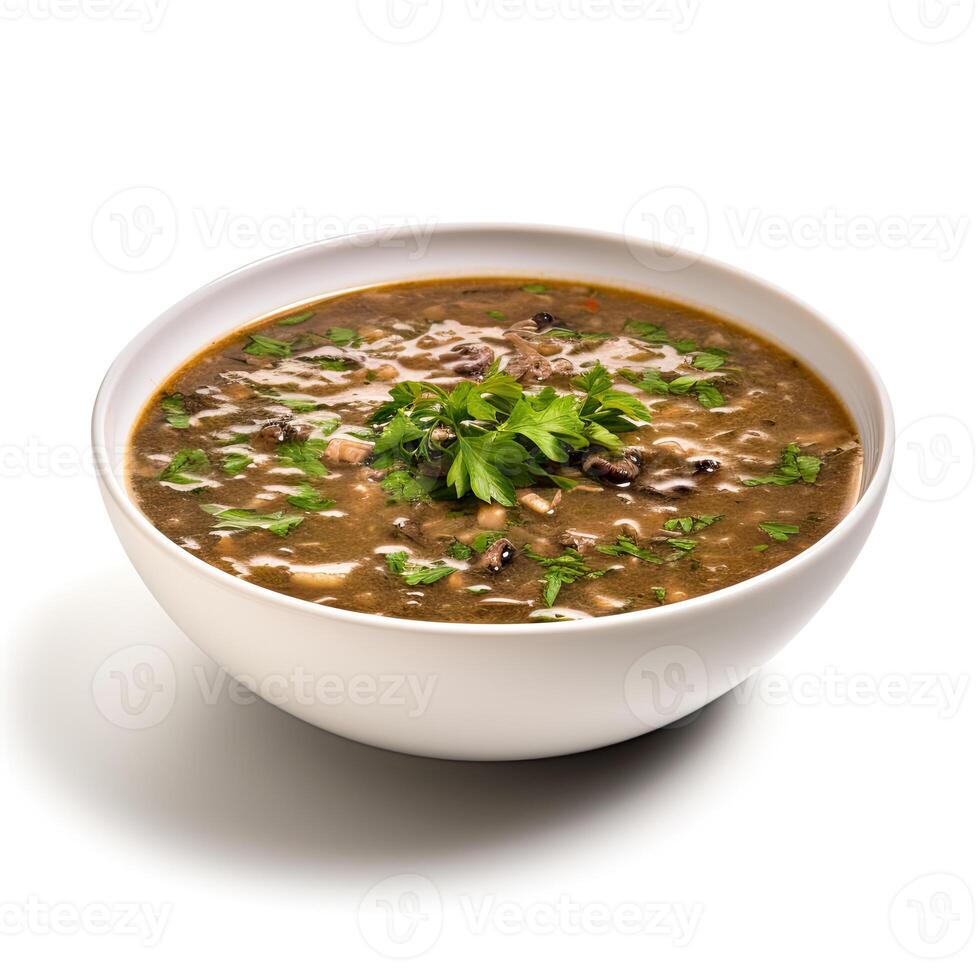 AI generated Turtle soup closeup isolated on white background photo
