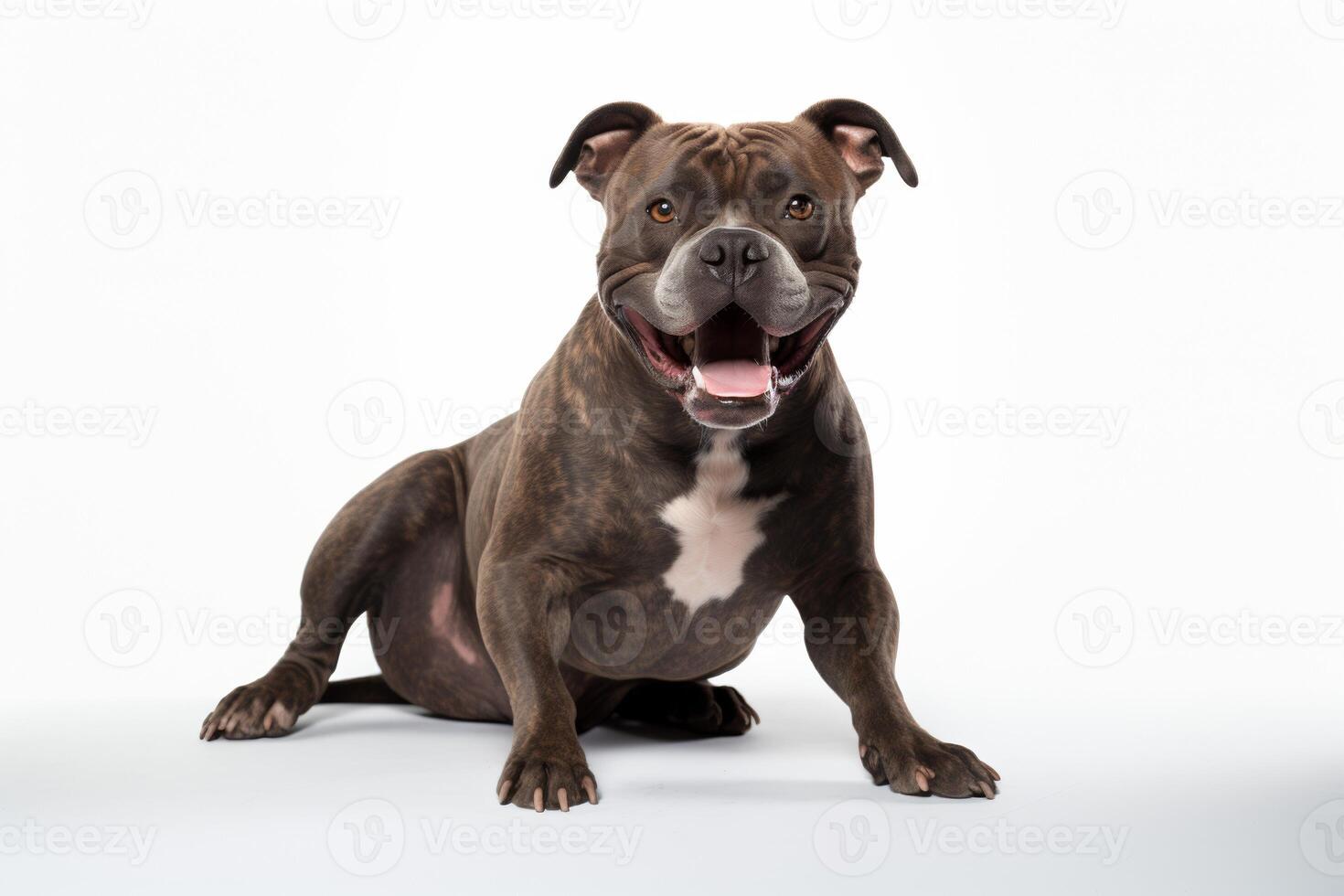 AI generated pit bull terrier clipart photo