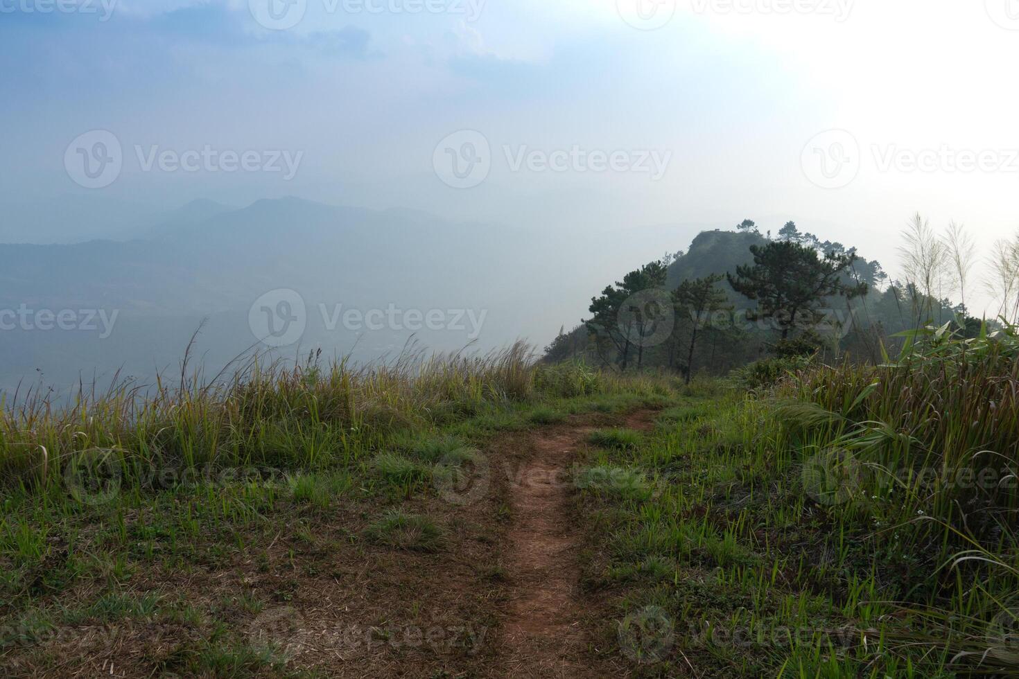 Walking path with green grass covering both sides.route heads to the mountaintop view point of Phu Nom. Background image with fog and faint mountains. At Phu Langka Phayao Province of Thailand. photo