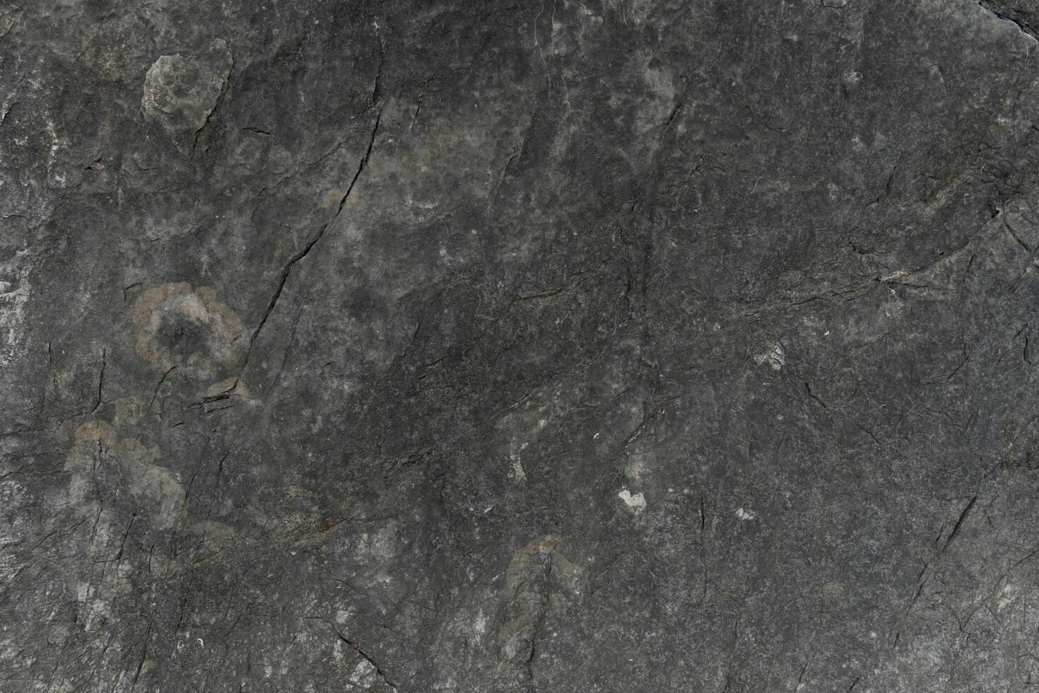 Stone floor has a unique rough surface and dark color. For background and textured. photo