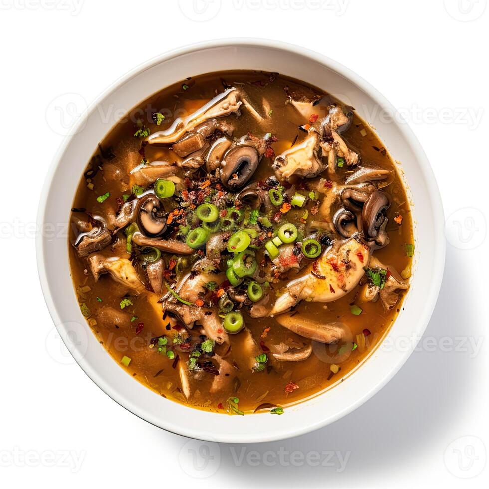 AI generated Turtle soup closeup isolated on white background photo