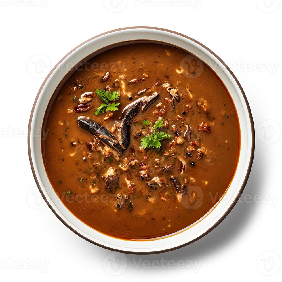 AI generated Turtle soup closeup isolated on white background photo