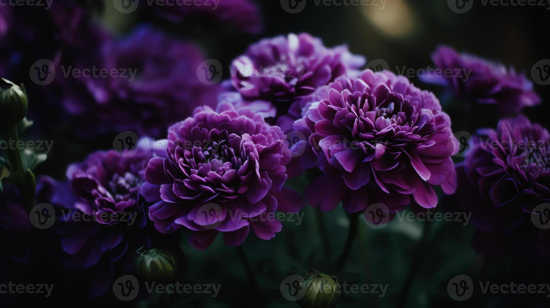 ai generado un cerca arriba de un manojo de púrpura flores foto