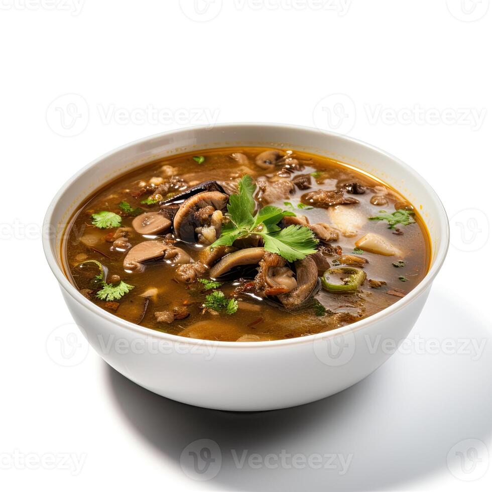 AI generated Turtle soup closeup isolated on white background photo