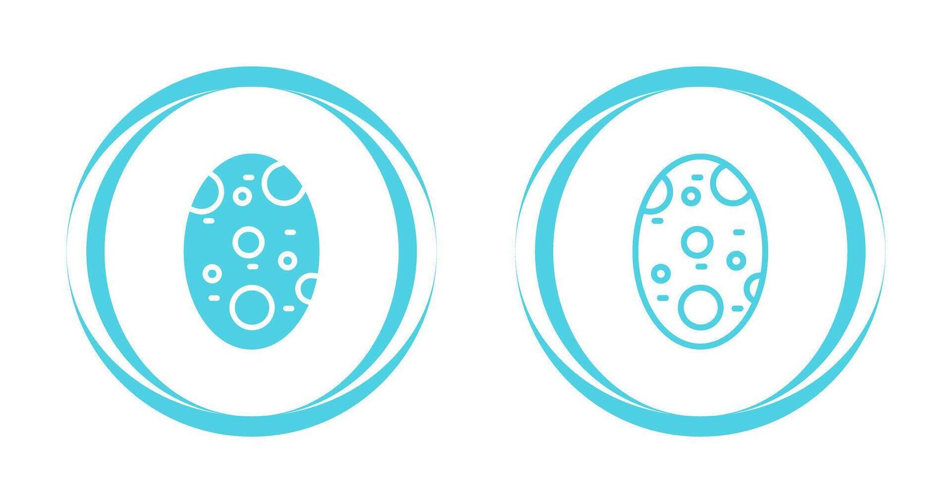 Potatoe Vector Icon