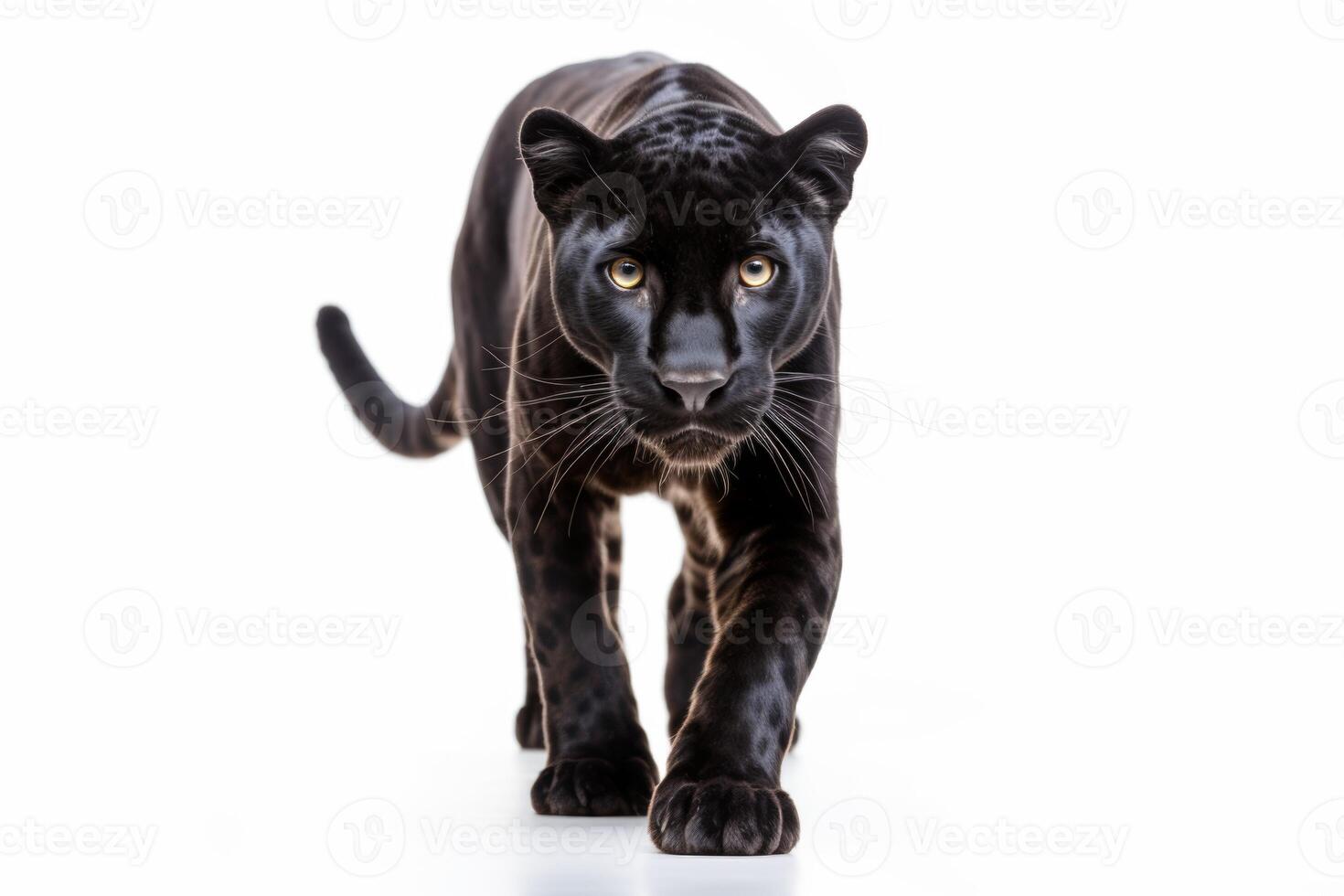 AI generated Black panther clipart photo