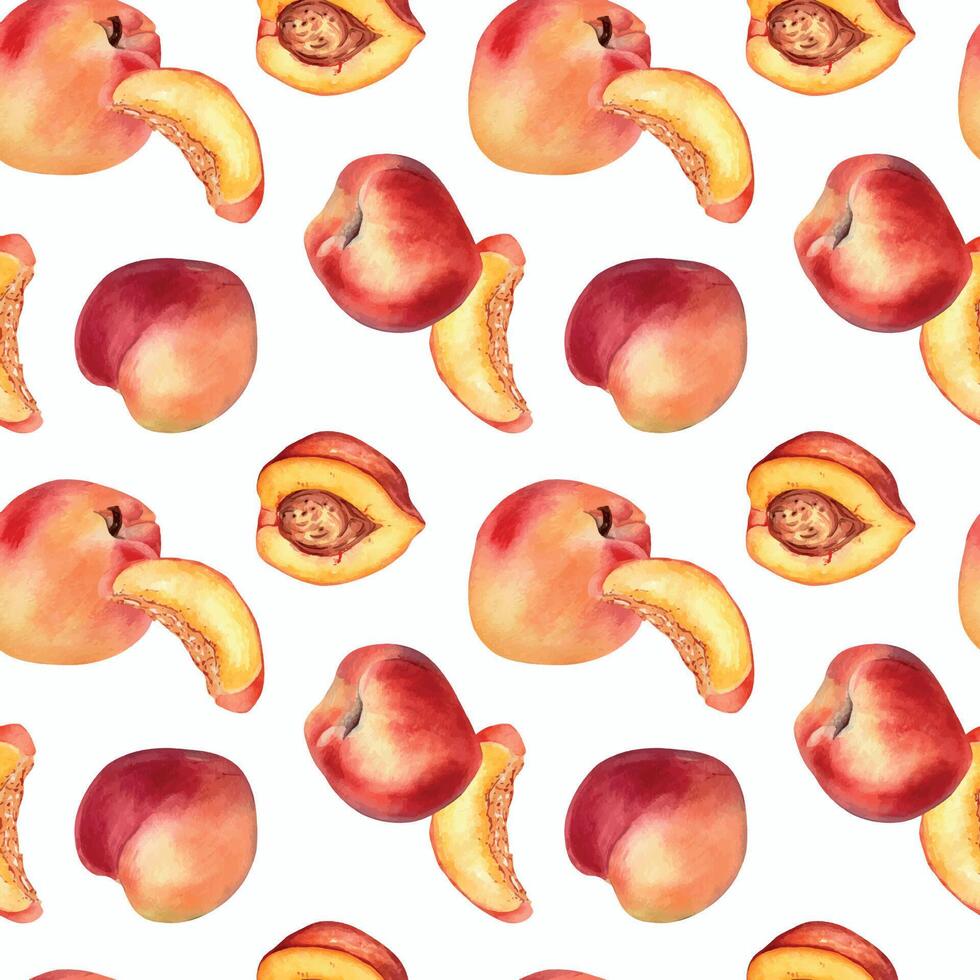 Watercolor seamless pattern with nectarines and peaches isolated on white background. Whole ripe and half fruits. Apricot hand drawn. Design element for package, textile, wrapping paper, fabric vector