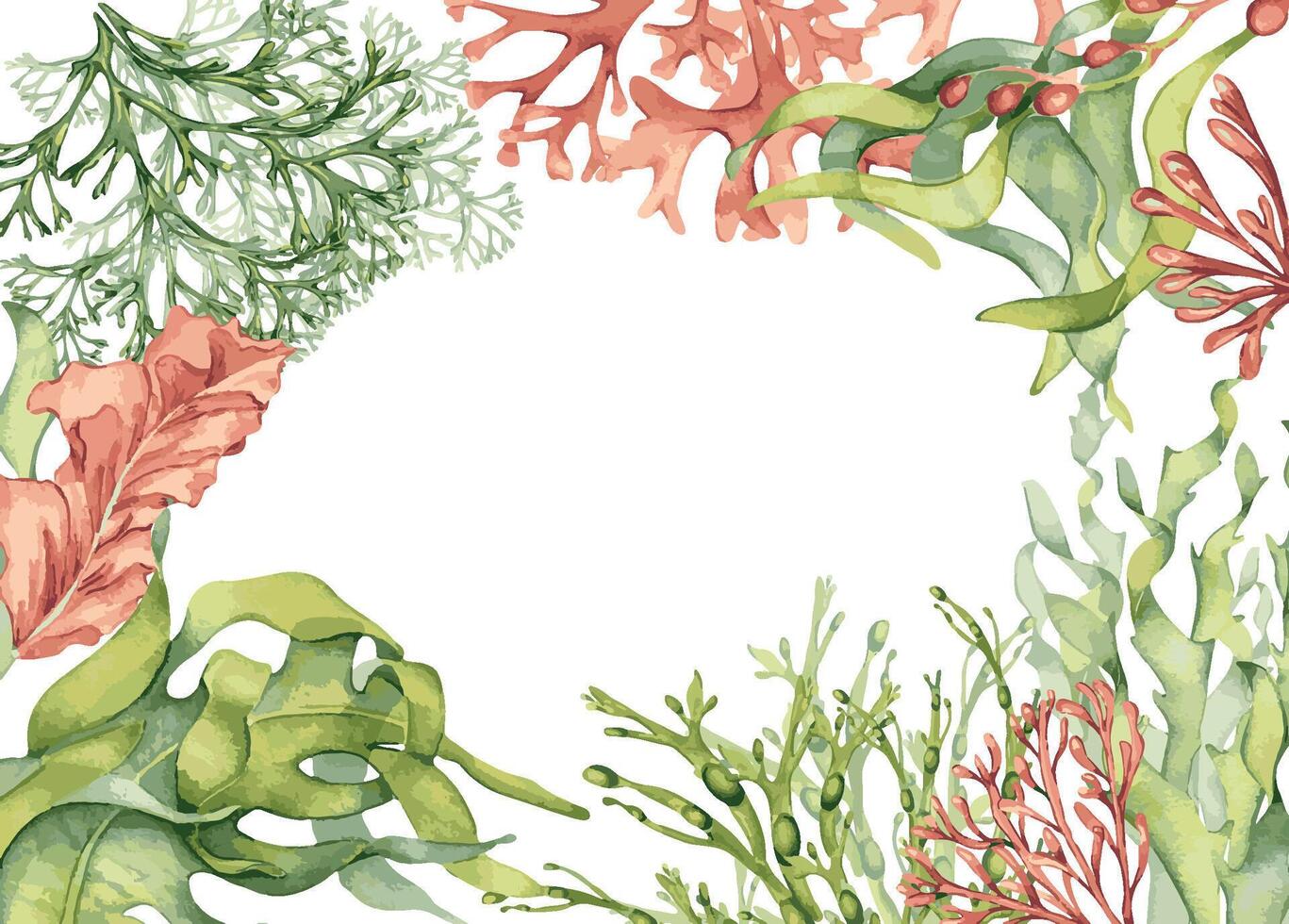 acuarela marco de vistoso mar plantas ilustración aislado en blanco. laminaria, quelpo mano dibujado. pintado algas borde. diseño elemento para letrero, etiqueta, envase, marina embalaje recopilación. vector