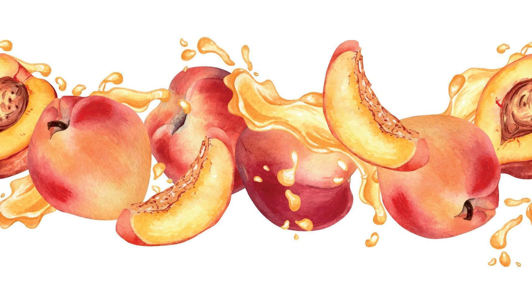 Watercolor illustration with apricots on splashing juice isolated on white. Seamless border with fruits and drops painting. Peach hand drawn. Design element for package, label product, cosmetic vector