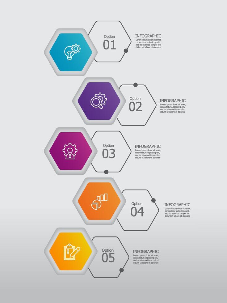 vertical round hexagon steps timeline infographic element report background with business line icon 5 steps vector