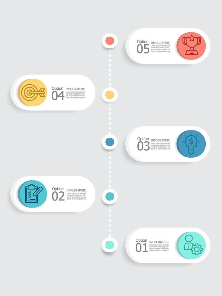 resumen verticle pasos cronograma infografía elemento reporte antecedentes con negocio línea icono 5 5 pasos vector