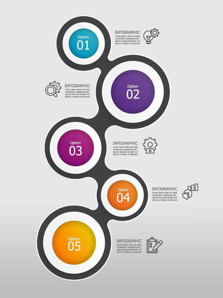 vertical round circle steps timeline infographic element report background with business line icon 5 steps vector