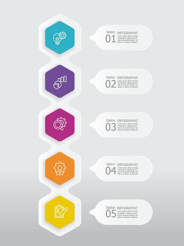 vertical round hexagon steps timeline infographic element report background with business line icon 5 steps vector