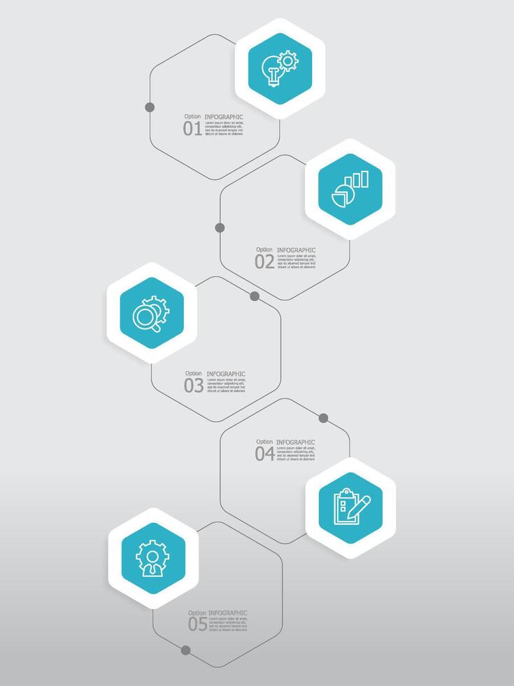 vertical round hexagon steps timeline infographic element report background with business line icon 5 steps vector