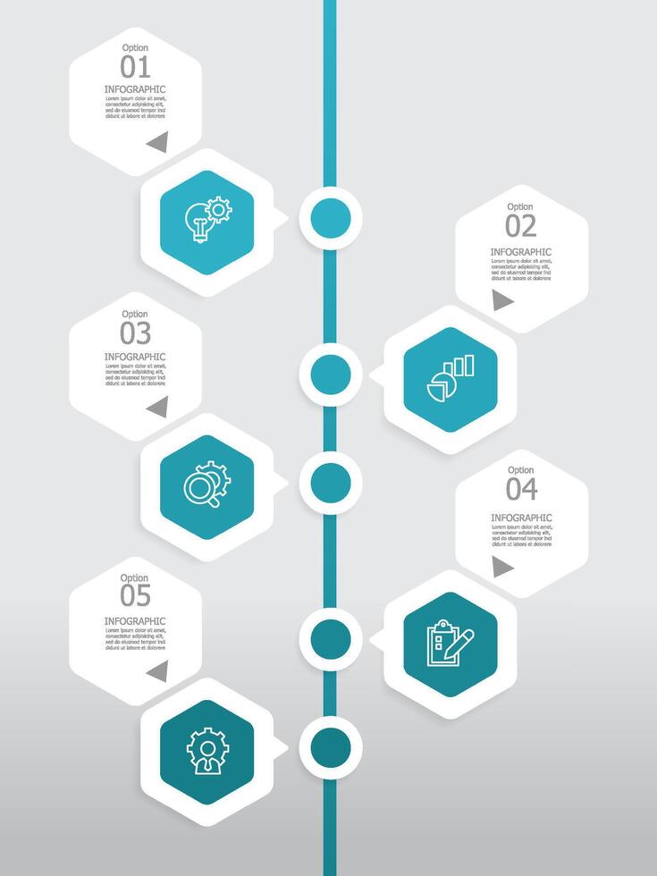 vertical round hexagon steps timeline infographic element report background with business line icon 5 steps vector