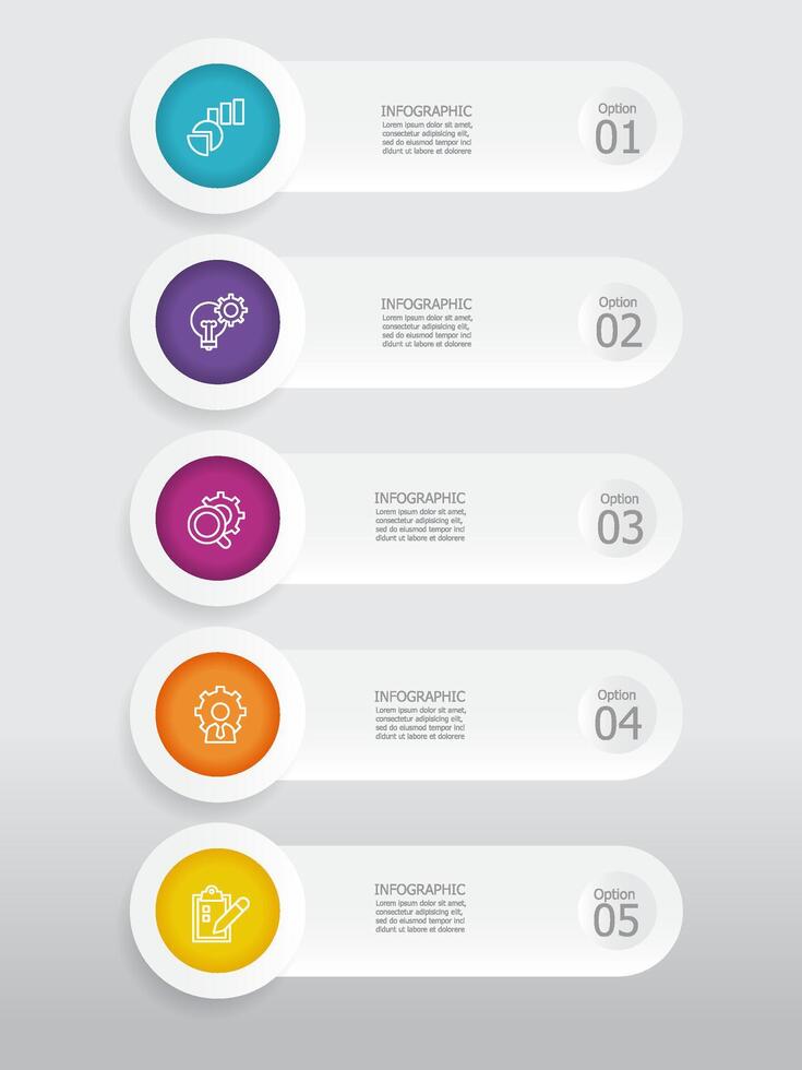 vertical round circle steps timeline infographic element report background with business line icon 5 steps vector