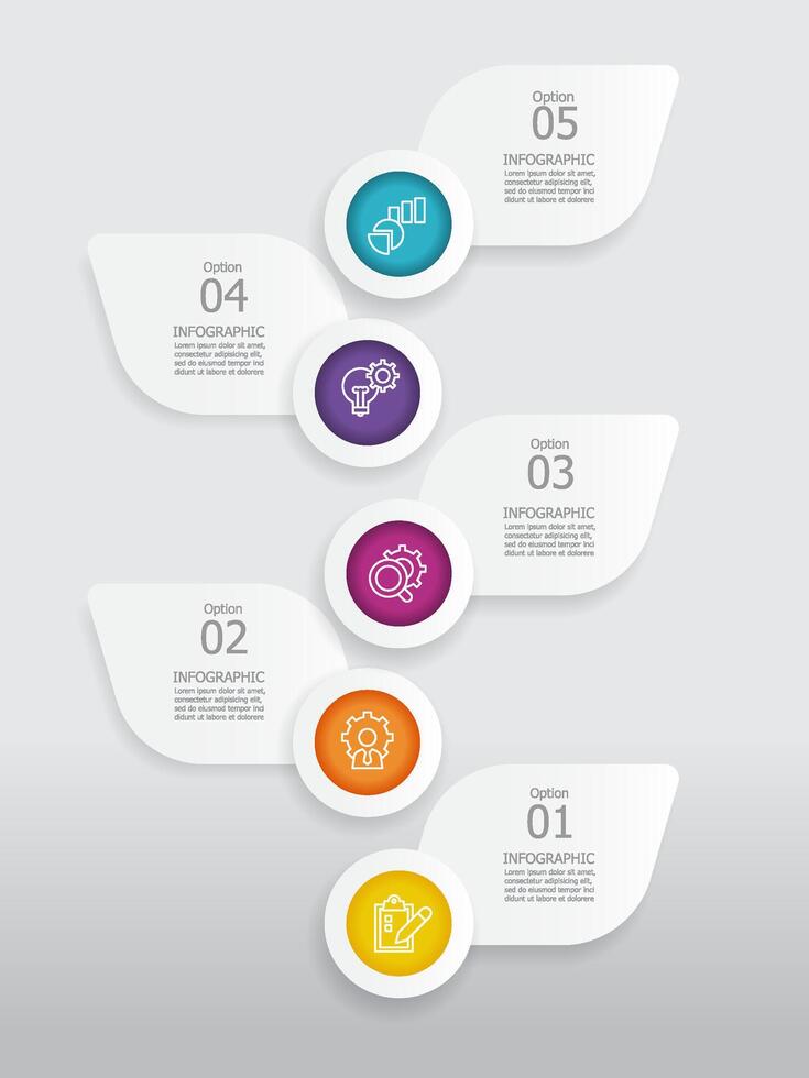 vertical round circle steps timeline infographic element report background with business line icon 5 steps vector