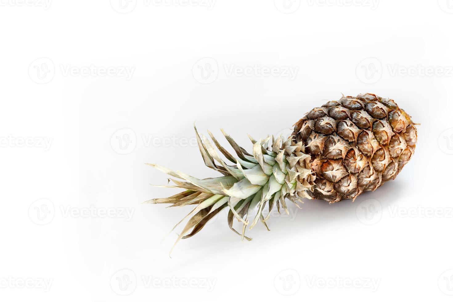 Pineapple on a white background photo