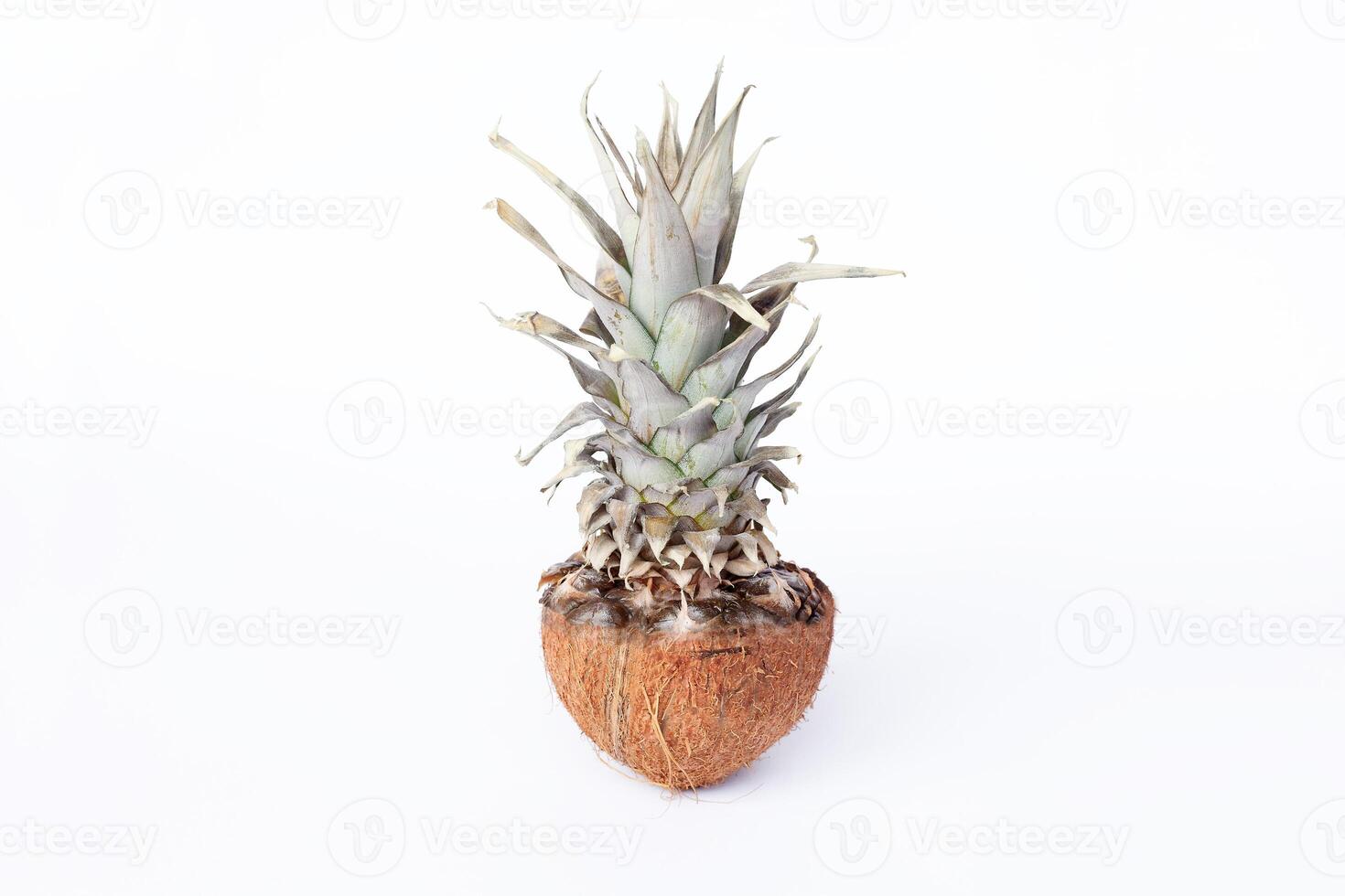 Fresh pineapple and coconuts on white background photo