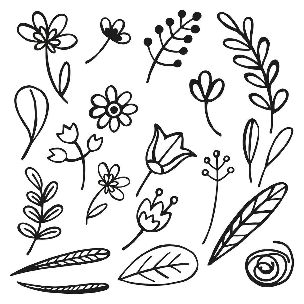 hand drawn set of vector plants, brunch of flowers, sketch of leaves, flowers, buds, herbs, grass, inked silhouette of leaves, monochrome illustration isolated on white background