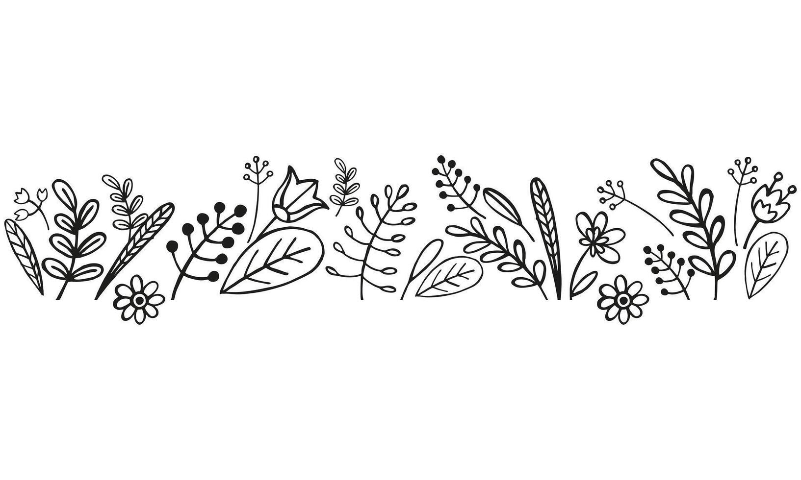 hand drawn border from vector plants, brunch of flowers, sketch of leaves, flowers, buds, herbs, grass, inked silhouette of leaves, monochrome illustration isolated on white background