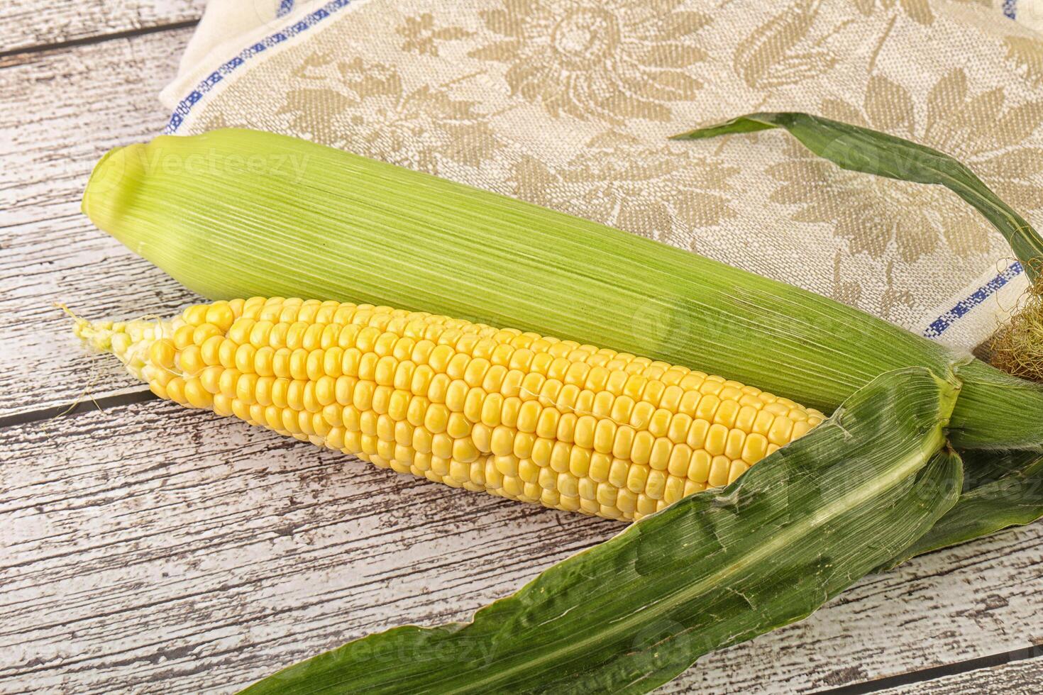 Yellow sweet raw cob corn photo