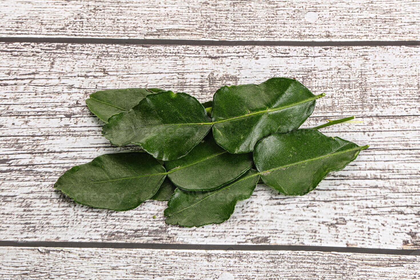Aroma seasoning kaffir lime leaves photo