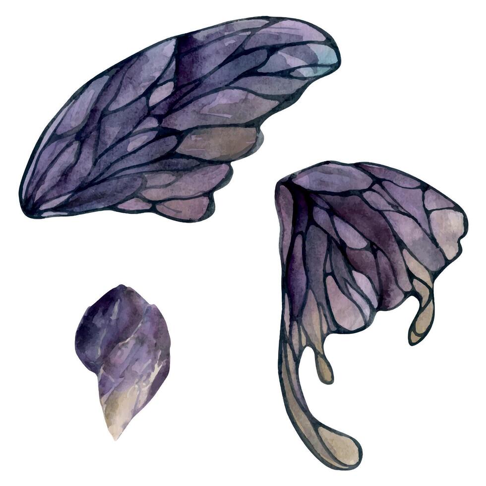 Hand drawn watercolor illustration butterfly fairy wings gem crystal insect moth. Amethyst charoite fluorite ametrine. Set of objects isolated white background. Design print, shop, wedding, birthday vector