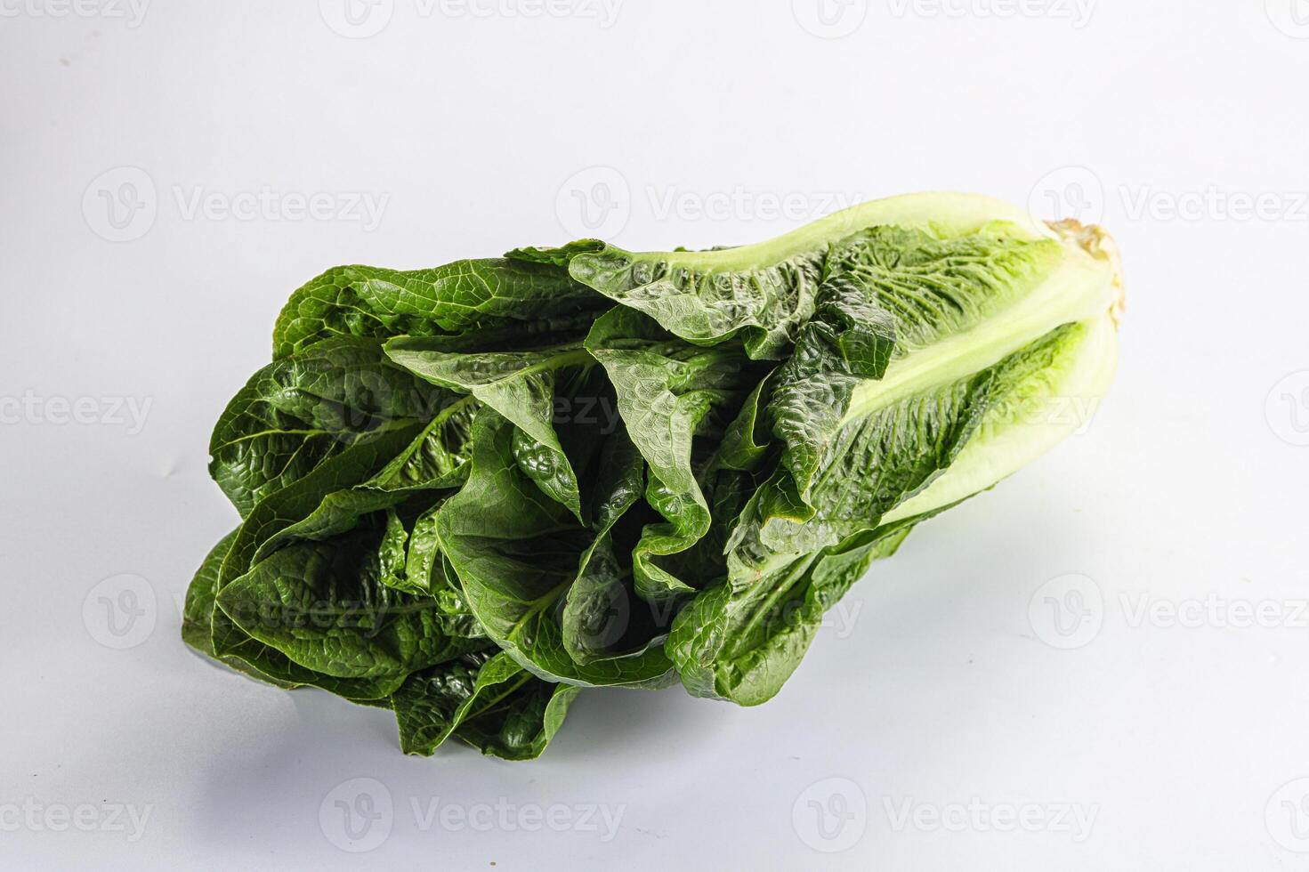 Green fresh juicy Romano salad photo