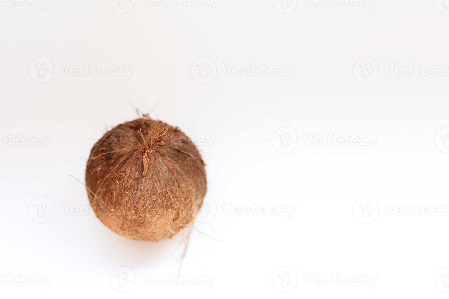 Coconut isolated on white Background. Clipping Path photo