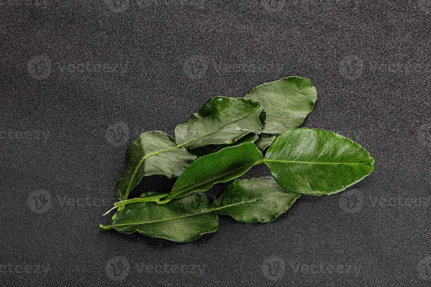 Aroma seasoning kaffir lime leaves photo