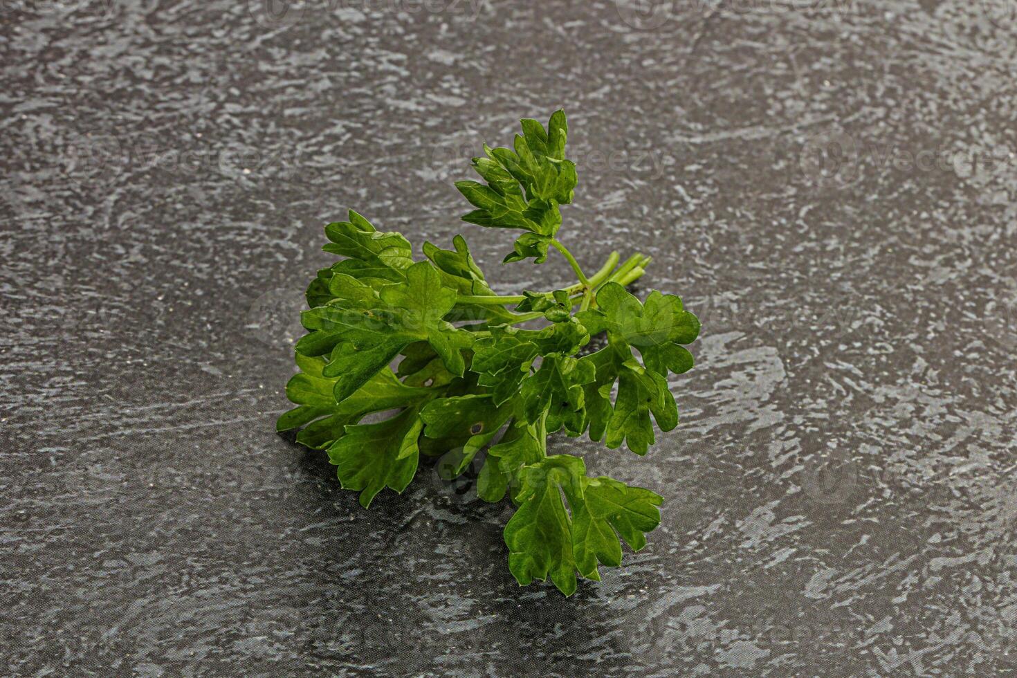 Green parsley leaves heap isolated photo