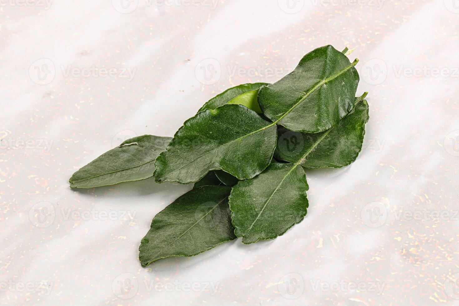 Aroma seasoning kaffir lime leaves photo