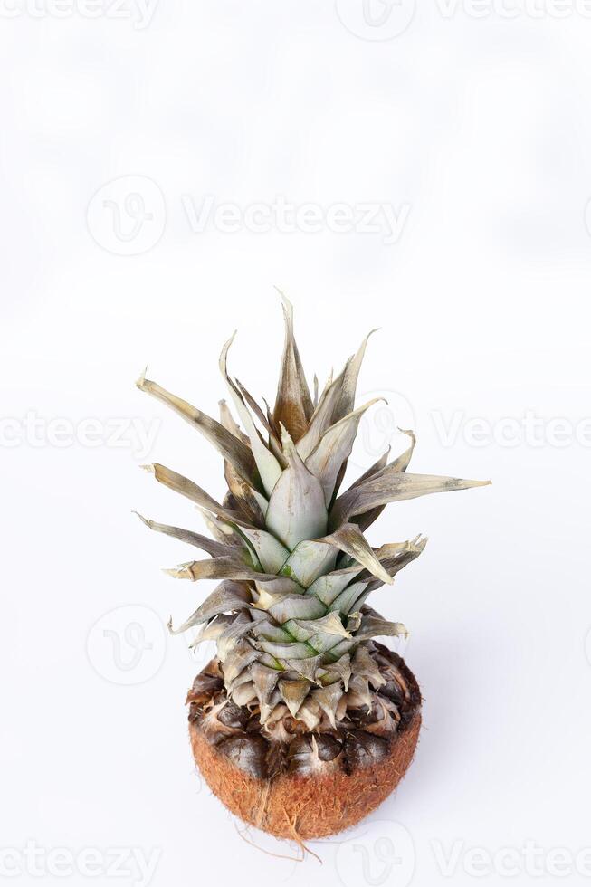 Fresh pineapple and coconuts on white background photo