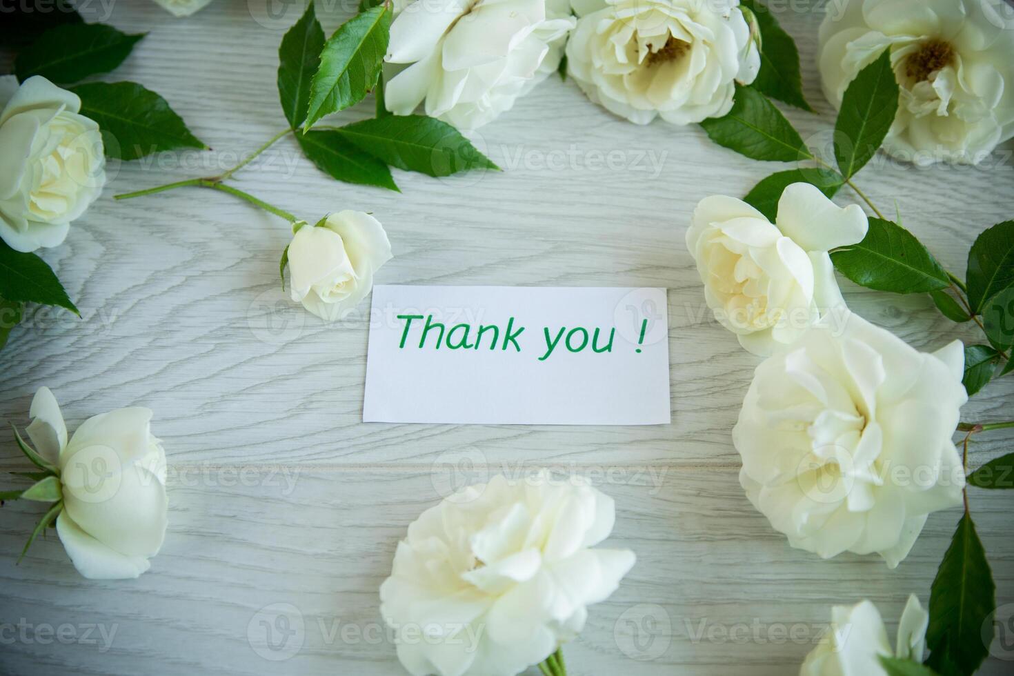 background of many white roses on a light wooden photo