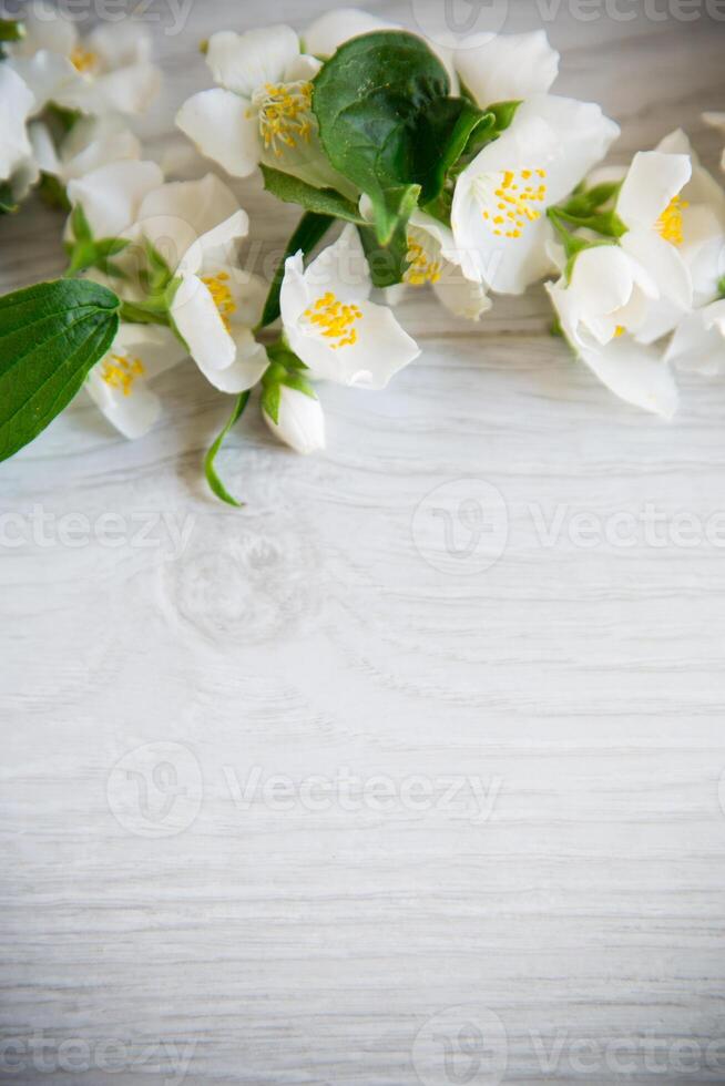 de madera antecedentes con floreciente blanco jazmín y vacío espacio foto