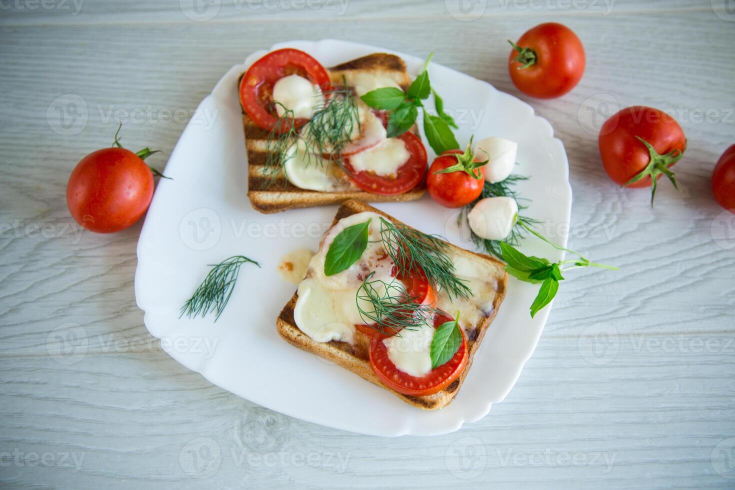 fried hot toast with mozzarella and tomatoes in a plate photo