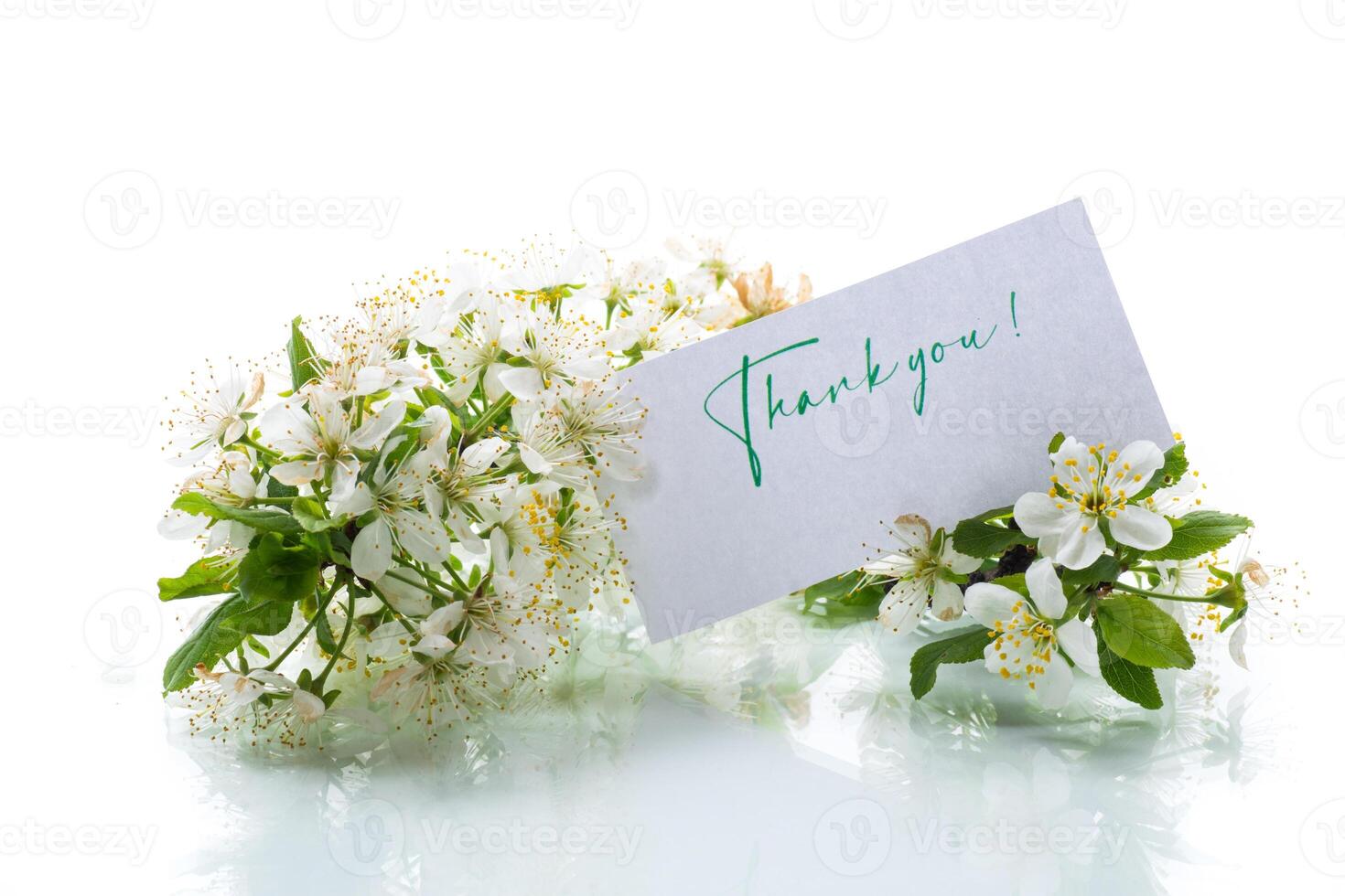 thank you card and blooming spring branch with flowers photo