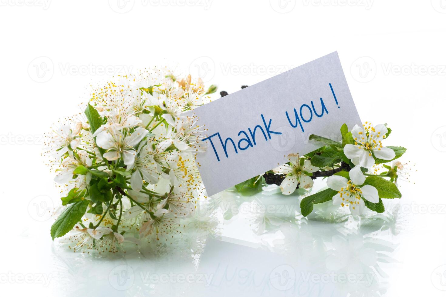 thank you card and blooming spring branch with flowers photo