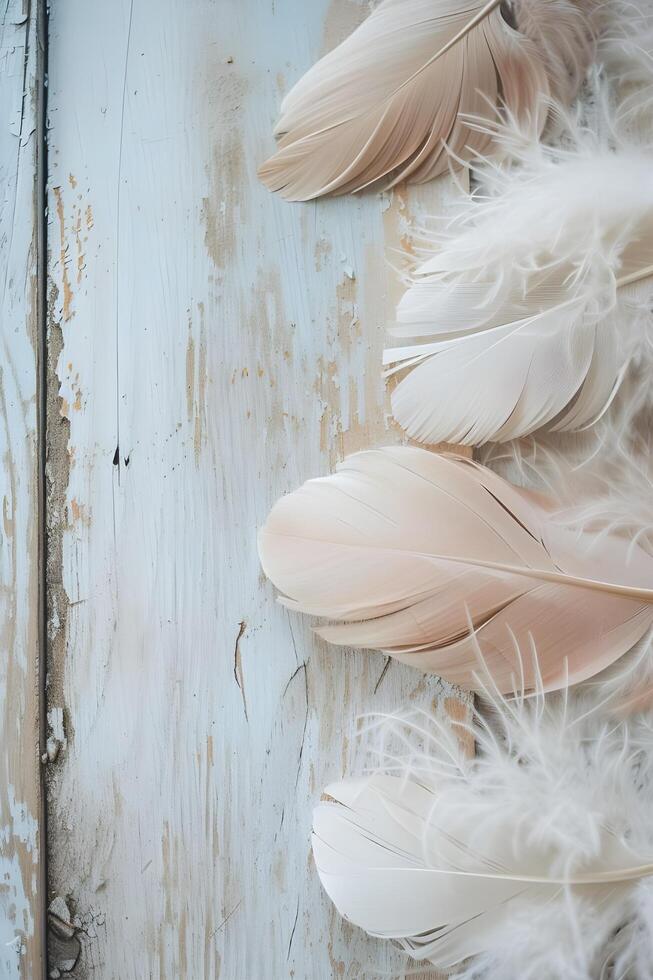 AI generated Shabby Chic Wood Feather Pastel Beauty in a Background Banner photo