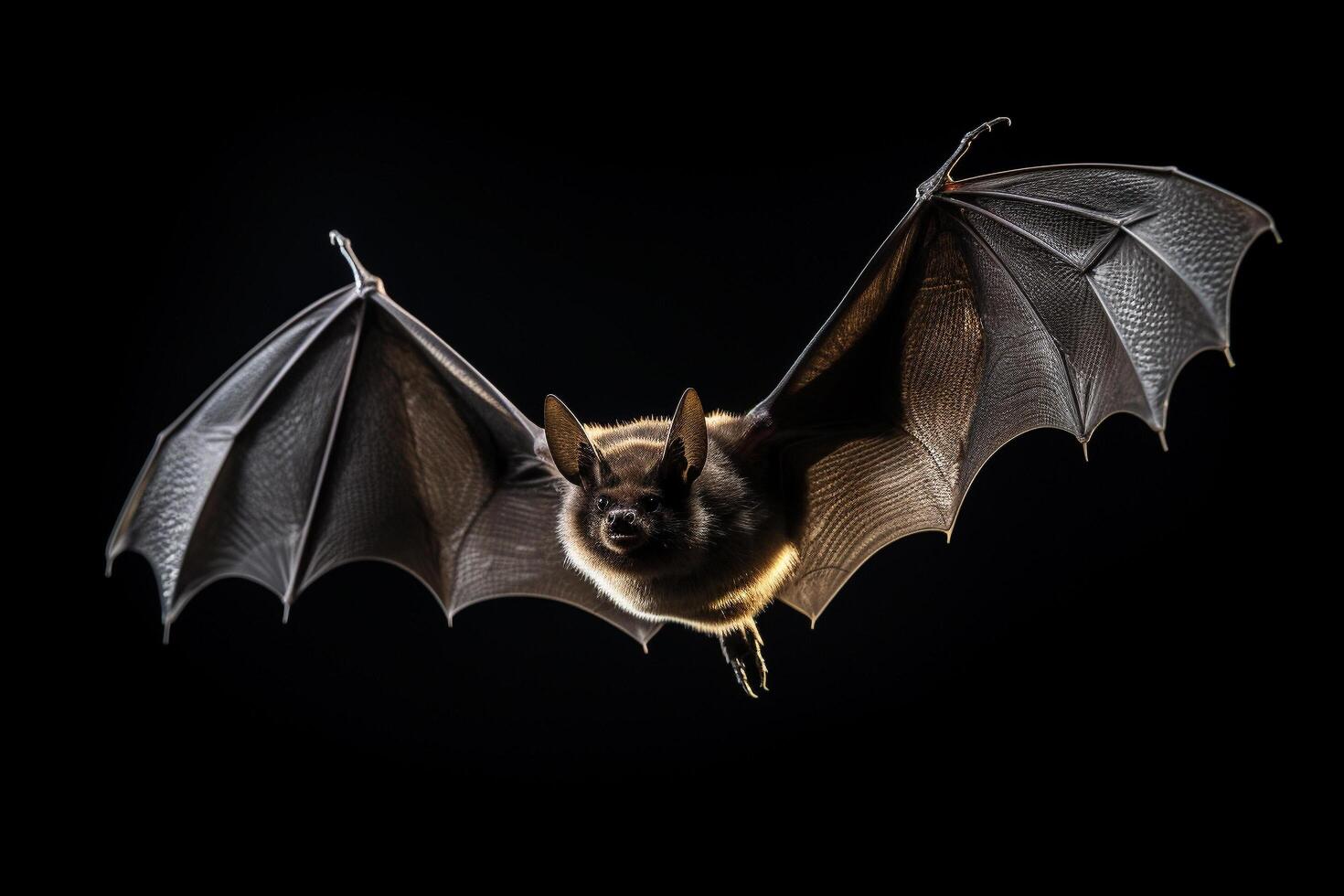 AI generated Bat on fly photo