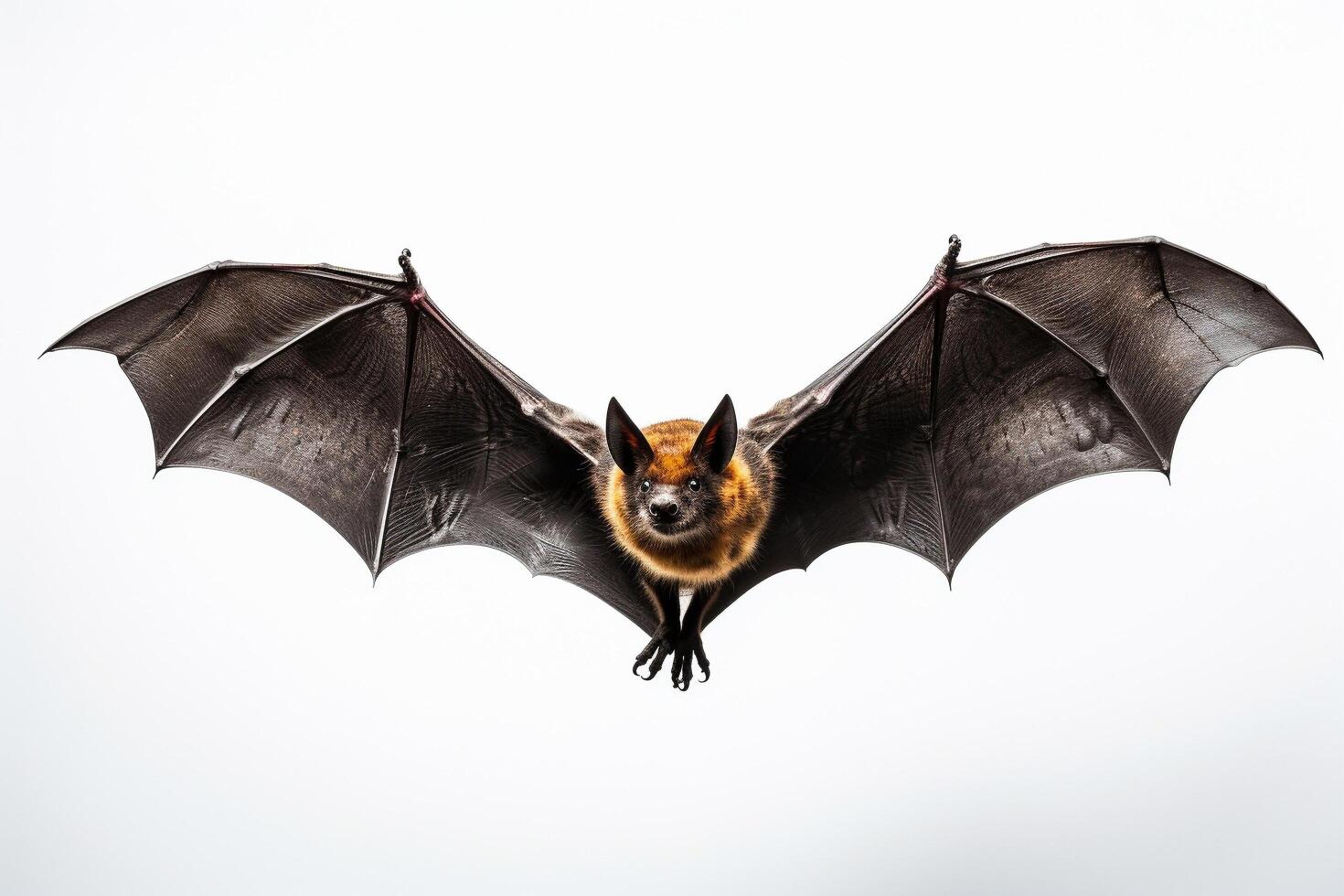 AI generated Bat on fly photo