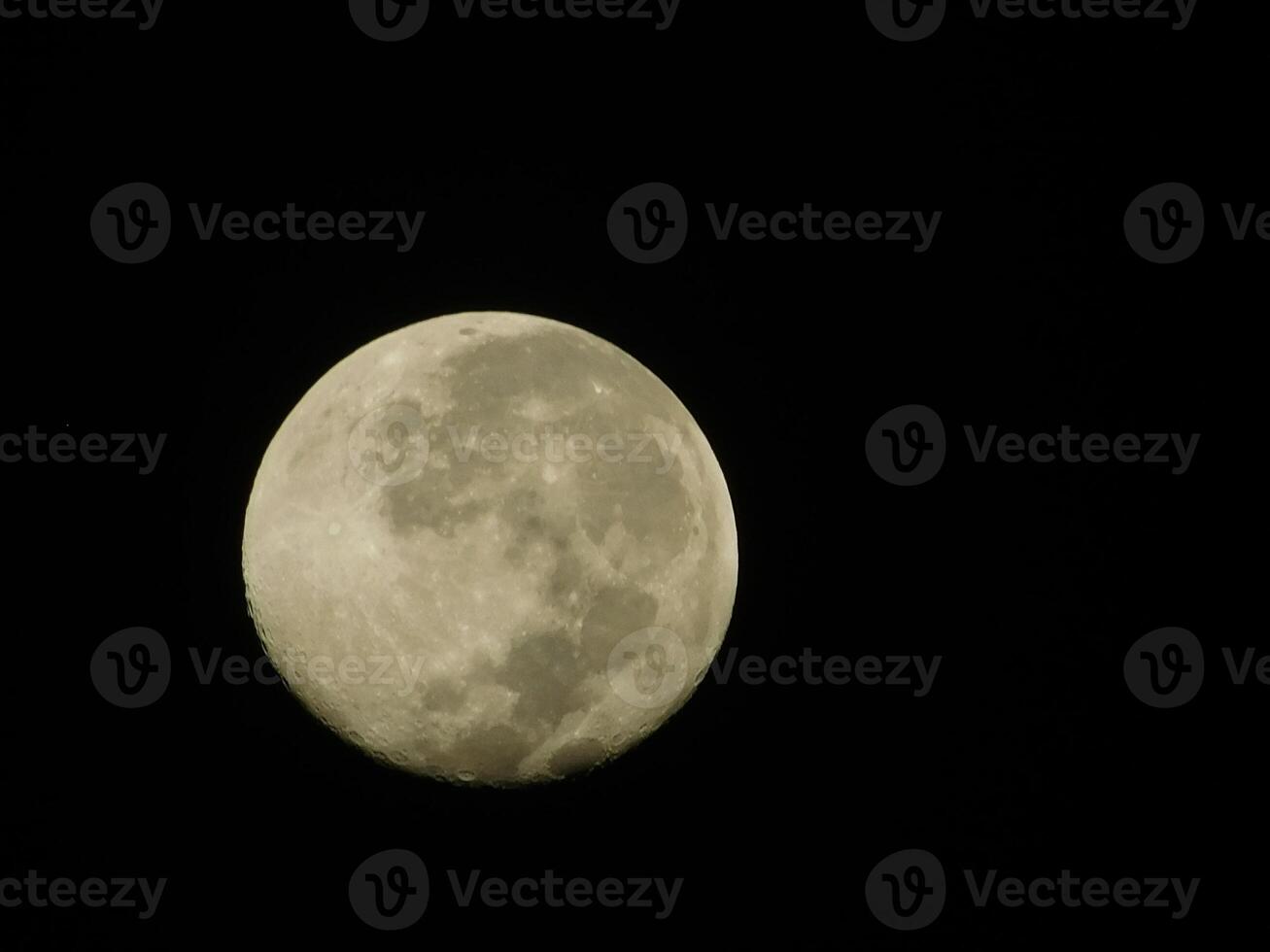 full moon potrait at night photo