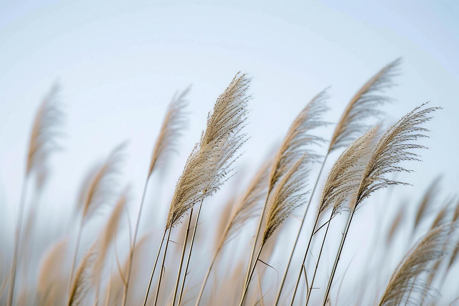 ai generado un manojo de alto césped soplo en el viento foto